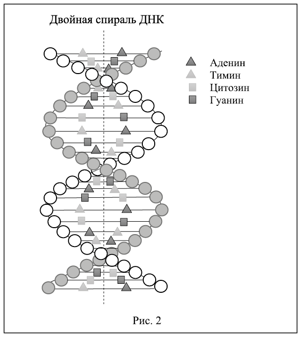 Интегральный взгляд на эволюцию человека - i_002.png