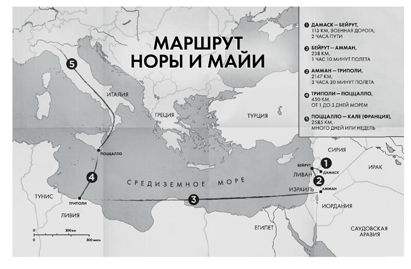 "Современный зарубежный детектив". Компиляция. Книги 1-33 (СИ) - i_011.jpg