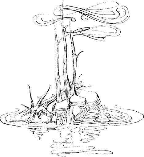 Мы карелы - img_10.jpeg