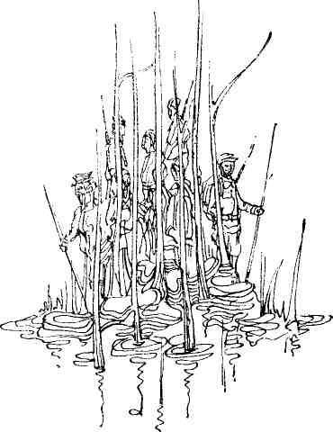 Мы карелы - img_7.jpeg