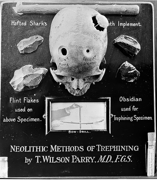 Основы медицины, о которых пора забыть - i_001.jpg