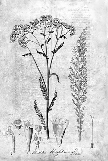 Основы медицины, о которых пора забыть - i_004.jpg