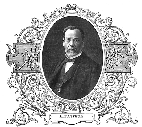 Основы медицины, о которых пора забыть - i_011.jpg