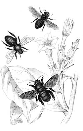 Основы медицины, о которых пора забыть - i_012.jpg