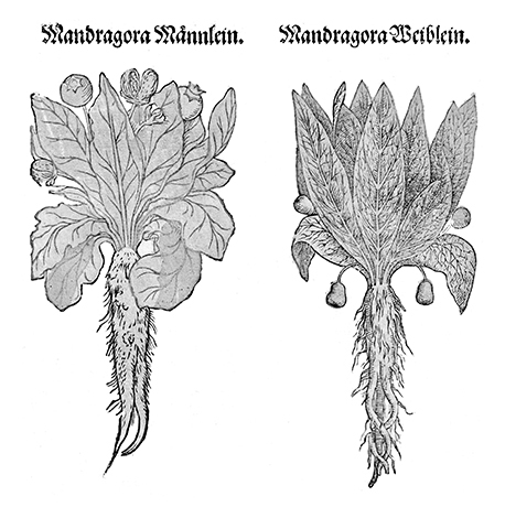 Основы медицины, о которых пора забыть - i_013.jpg