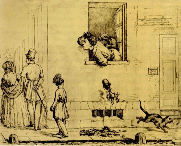 Похождения Христиана Христиановича Виольдамура и его Аршета - pic_30.jpg