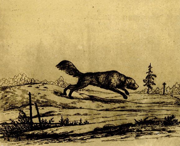 Похождения Христиана Христиановича Виольдамура и его Аршета - pic_49.jpg