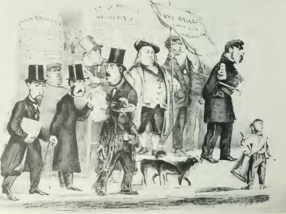 Надвигающийся кризис: Америка перед Гражданской войной, 1848-1861 (ЛП) - i_017.jpg