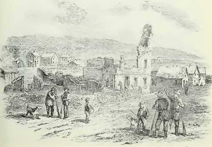 Надвигающийся кризис: Америка перед Гражданской войной, 1848-1861 (ЛП) - i_022.jpg