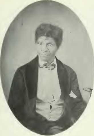 Надвигающийся кризис: Америка перед Гражданской войной, 1848-1861 (ЛП) - i_035.jpg