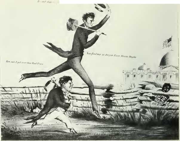 Надвигающийся кризис: Америка перед Гражданской войной, 1848-1861 (ЛП) - i_040.jpg