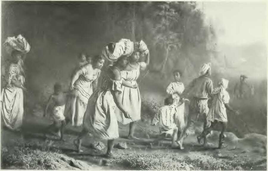 Надвигающийся кризис: Америка перед Гражданской войной, 1848-1861 (ЛП) - i_049.jpg