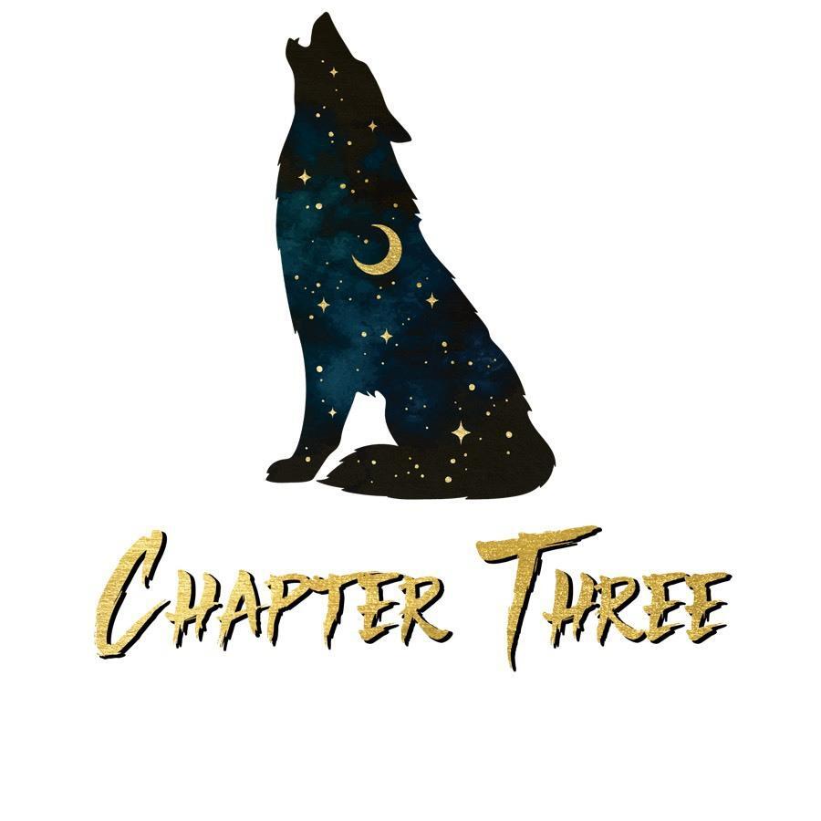 Горький конец (ЛП) - _4.jpg