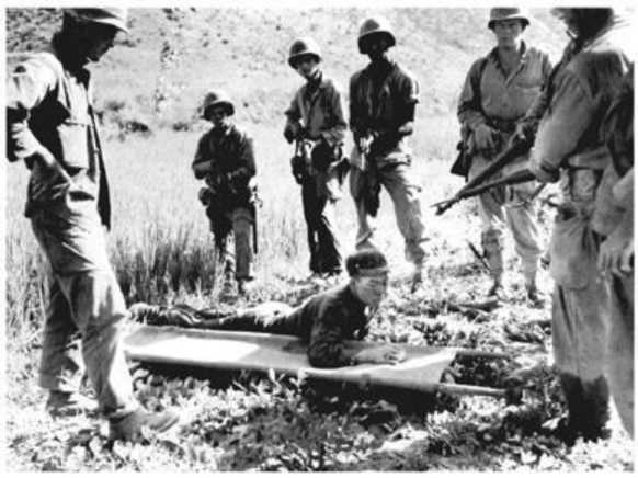 Большие надежды. Соединенные Штаты, 1945-1974 (ЛП) - i_015.jpg