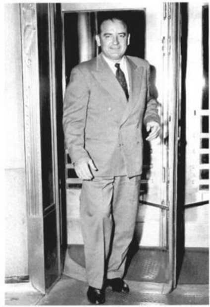 Большие надежды. Соединенные Штаты, 1945-1974 (ЛП) - i_022.jpg