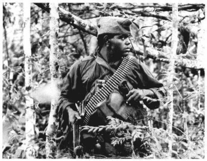 Большие надежды. Соединенные Штаты, 1945-1974 (ЛП) - i_032.jpg