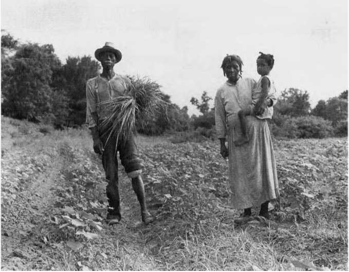 Свобода от страха. Американский народ в период депрессии и войны, 1929-1945 (ЛП) - i_027.jpg