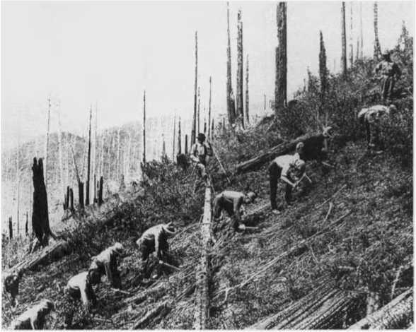 Свобода от страха. Американский народ в период депрессии и войны, 1929-1945 (ЛП) - i_037.jpg