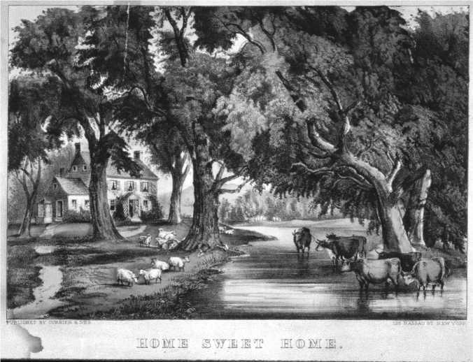 Республика, которую он защищает. Соединенные Штаты в период Реконструкции и Позолоченного века, 1865-1896 (ЛП) - i_004.jpg