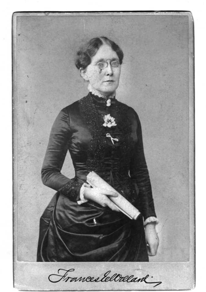 Республика, которую он защищает. Соединенные Штаты в период Реконструкции и Позолоченного века, 1865-1896 (ЛП) - i_018.jpg