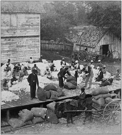 Республика, которую он защищает. Соединенные Штаты в период Реконструкции и Позолоченного века, 1865-1896 (ЛП) - i_056.jpg