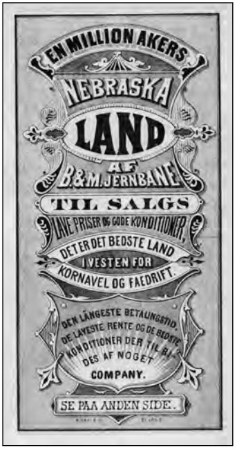 Республика, которую он защищает. Соединенные Штаты в период Реконструкции и Позолоченного века, 1865-1896 (ЛП) - i_062.jpg