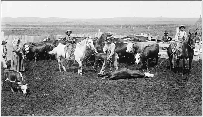 Республика, которую он защищает. Соединенные Штаты в период Реконструкции и Позолоченного века, 1865-1896 (ЛП) - i_085.jpg