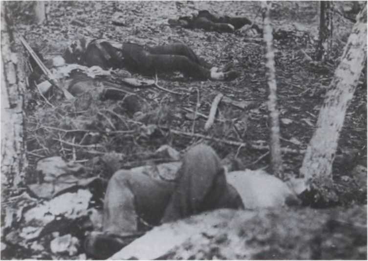 Боевой клич свободы. Гражданская война 1861-1865 - i_043.jpg