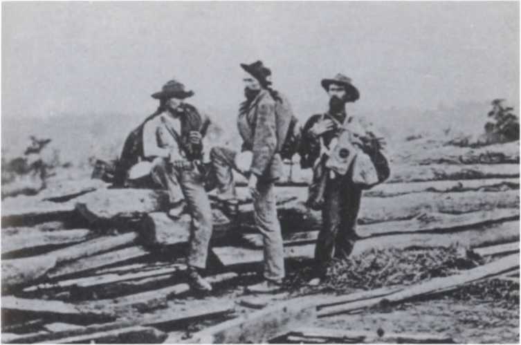 Боевой клич свободы. Гражданская война 1861-1865 - i_047.jpg