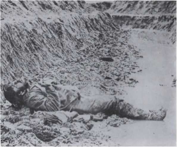 Боевой клич свободы. Гражданская война 1861-1865 - i_057.jpg