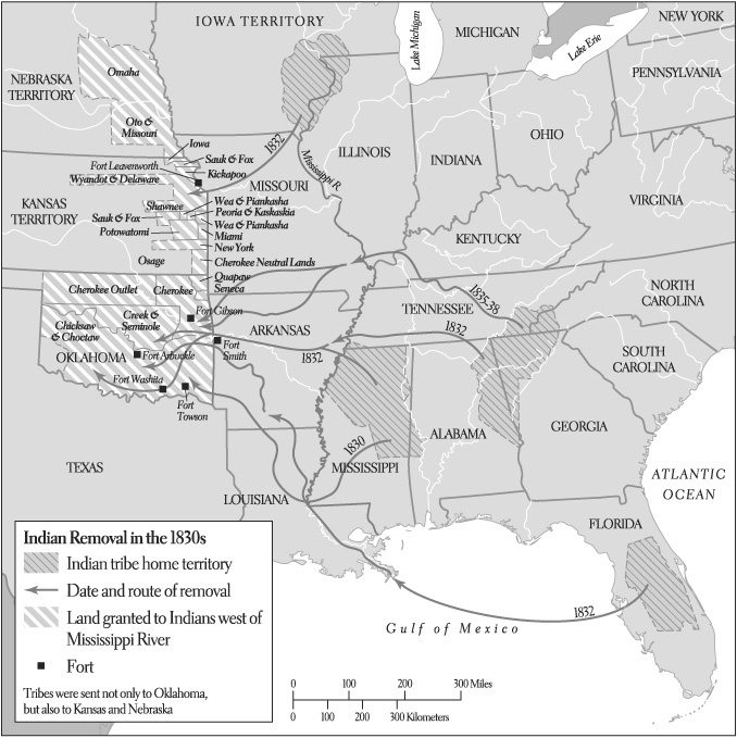 Что сотворил Бог. Трансформация Америки, 1815-1848 (ЛП) - i_016.jpg