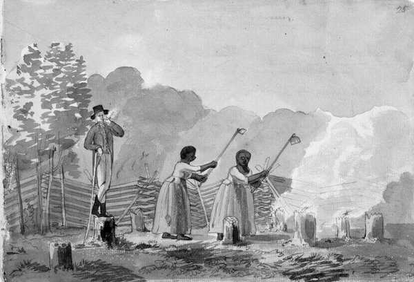 Империя свободы. История ранней республики, 1789-1815 (ЛП) - i_029.jpg