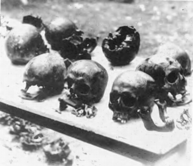 Катынский синдром в советско-польских и российско-польских отношениях - i_061.jpg