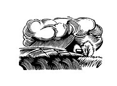 Не жалею, не зову, не плачу… - i_003.jpg