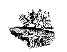 Не жалею, не зову, не плачу… - i_004.jpg