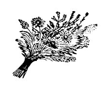 Не жалею, не зову, не плачу… - i_008.jpg