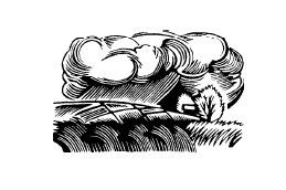 Не жалею, не зову, не плачу… - i_012.jpg