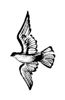 Не жалею, не зову, не плачу… - i_013.jpg