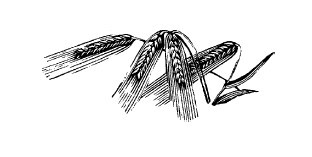 Не жалею, не зову, не плачу… - i_014.jpg