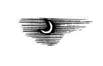 Не жалею, не зову, не плачу… - i_015.jpg