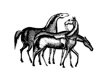 Не жалею, не зову, не плачу… - i_016.jpg