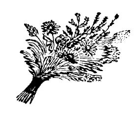 Не жалею, не зову, не плачу… - i_020.jpg