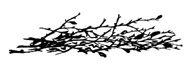 Не жалею, не зову, не плачу… - i_021.jpg