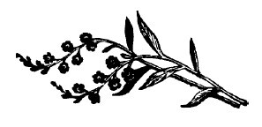 Не жалею, не зову, не плачу… - i_022.jpg