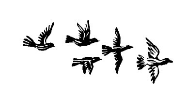 Не жалею, не зову, не плачу… - i_023.jpg