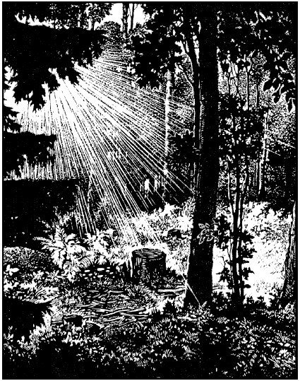 Не жалею, не зову, не плачу… - i_024.jpg