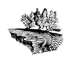 Не жалею, не зову, не плачу… - i_026.jpg