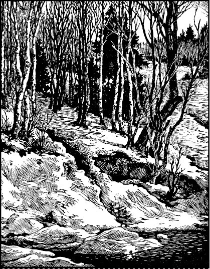 Не жалею, не зову, не плачу… - i_028.jpg