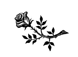 Не жалею, не зову, не плачу… - i_029.jpg