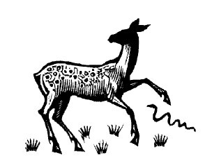 Не жалею, не зову, не плачу… - i_031.jpg